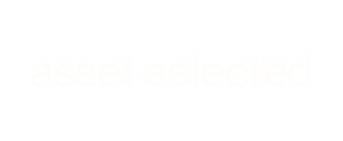 asset selected
